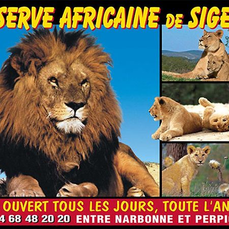 Le Mieukerien - Reserve Africaine 15 Mn, Plage 200M, Terrasse Port-la-Nouvelle Exterior foto